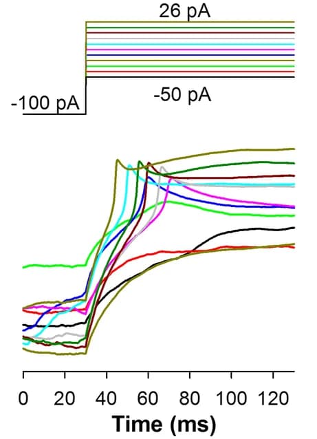 Open access visualization of Line Plot, Line Step, Rm