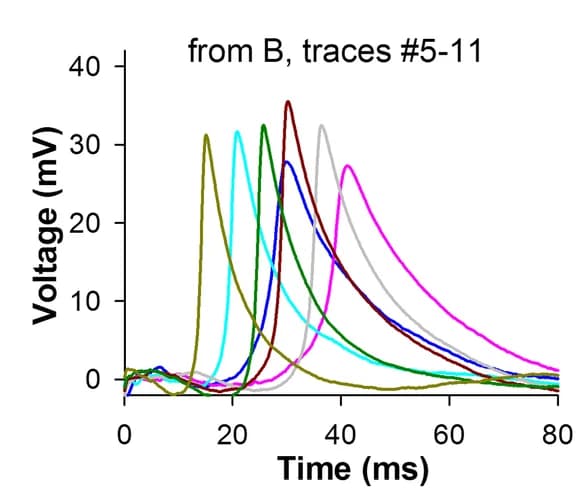 Open access visualization of Line Plot, Spikes, High-Resistance Recordings