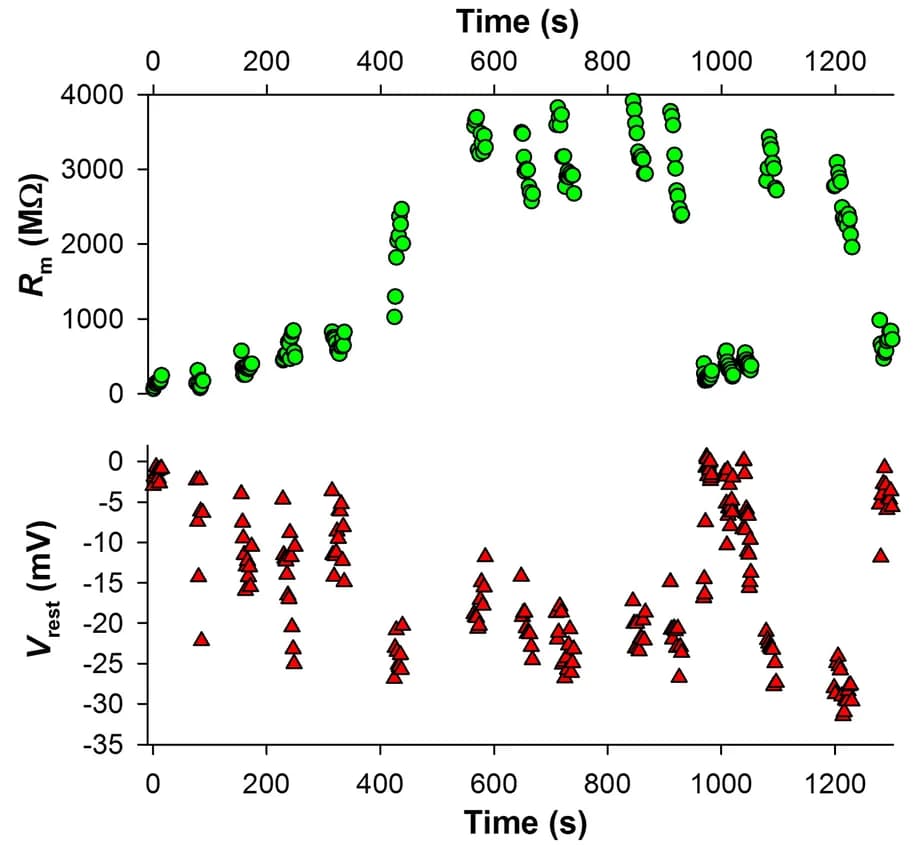 Open access visualization of Scatter Plot, Rm, Resting Potential, Vrest, Experiment