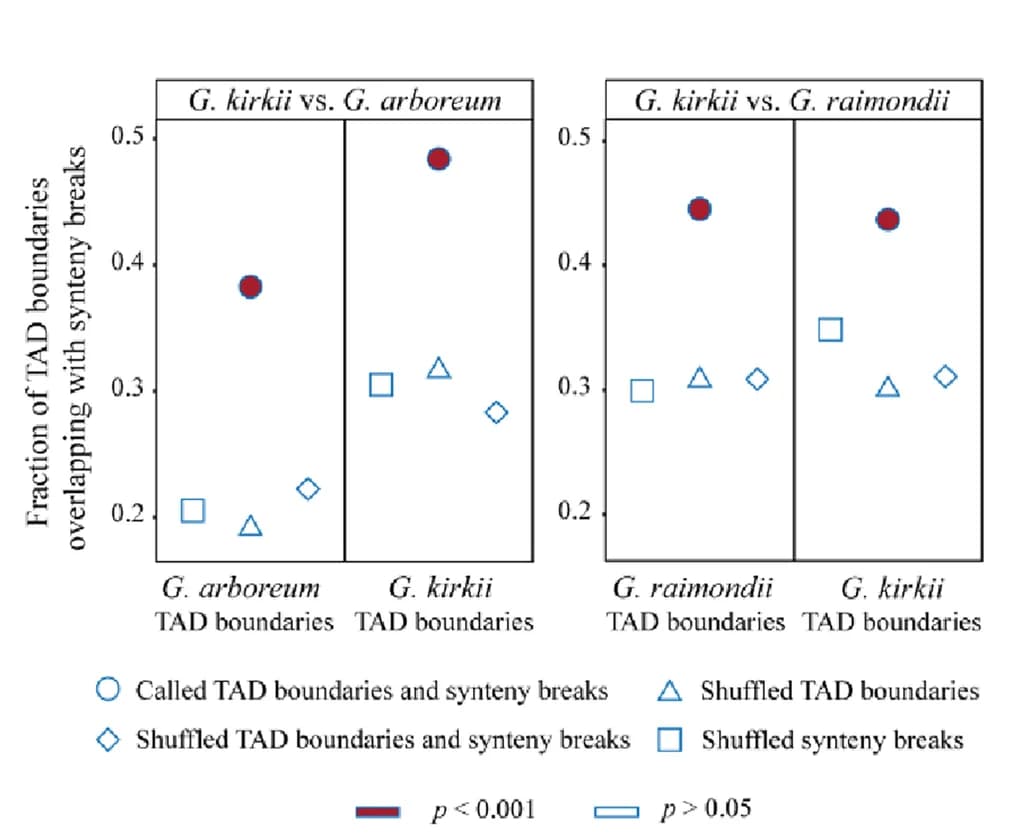 Open access visualization of Scatter Plot, TAD Boundaries, Synteny Breaks, Randomization Controls, Fisher’s Two-Tailed Test