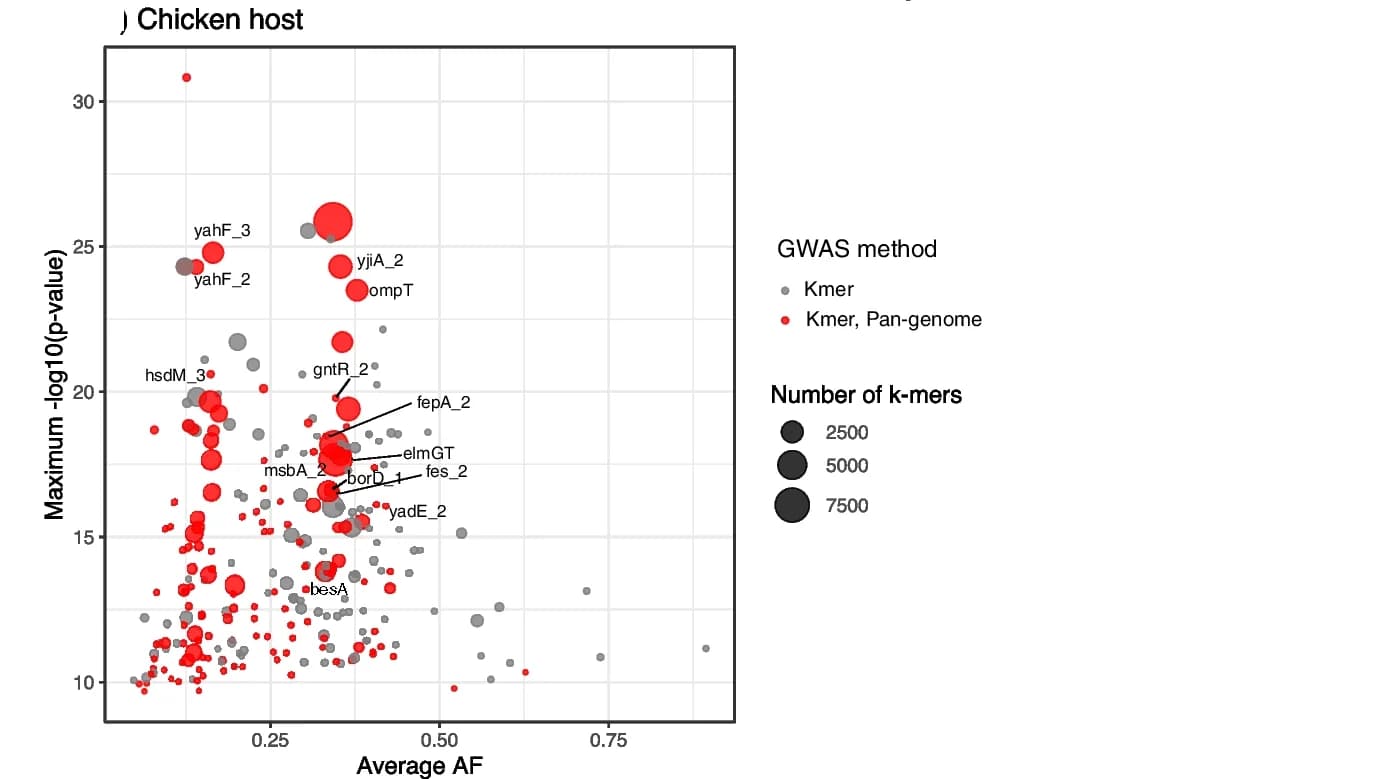 Open access visualization of Bubble Plot, Scatter Plot, Volcano Plot, E. Coli Genes, Gene Variants