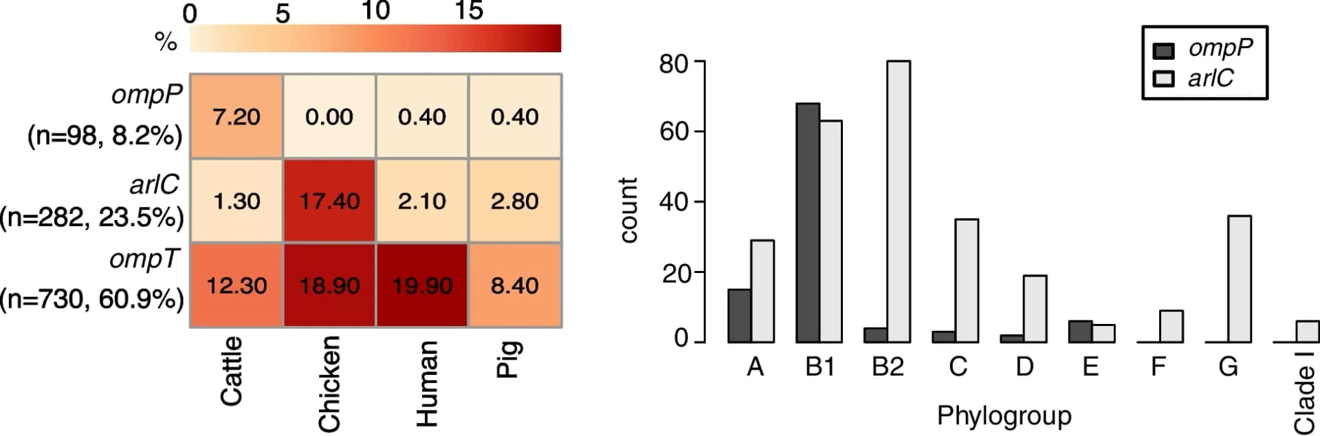 Open access visualization of Heatmap, Bar Plot, Clustered, ompP, arlC