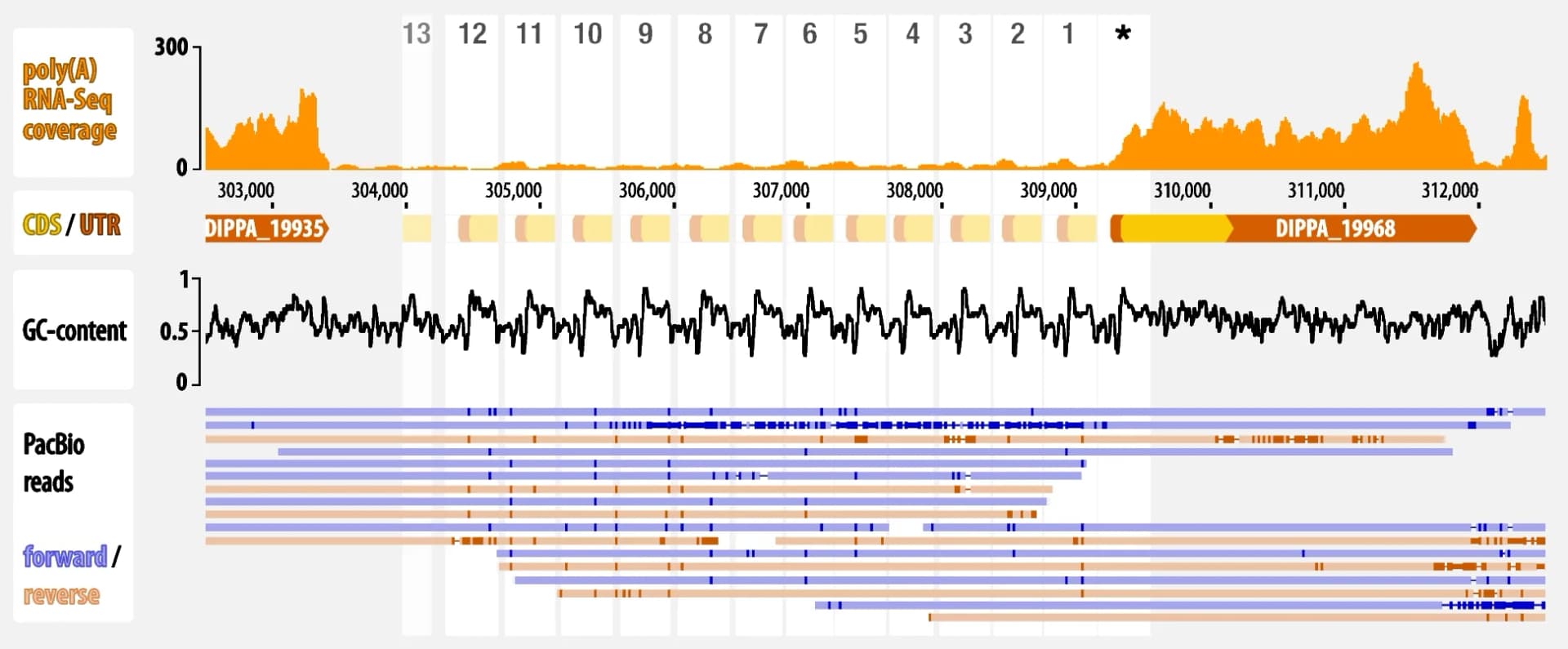 Open access visualization of Line Plot, Gene Structure, Nuclear Genome, Repeat Region, Iron-Sulfur Cluster