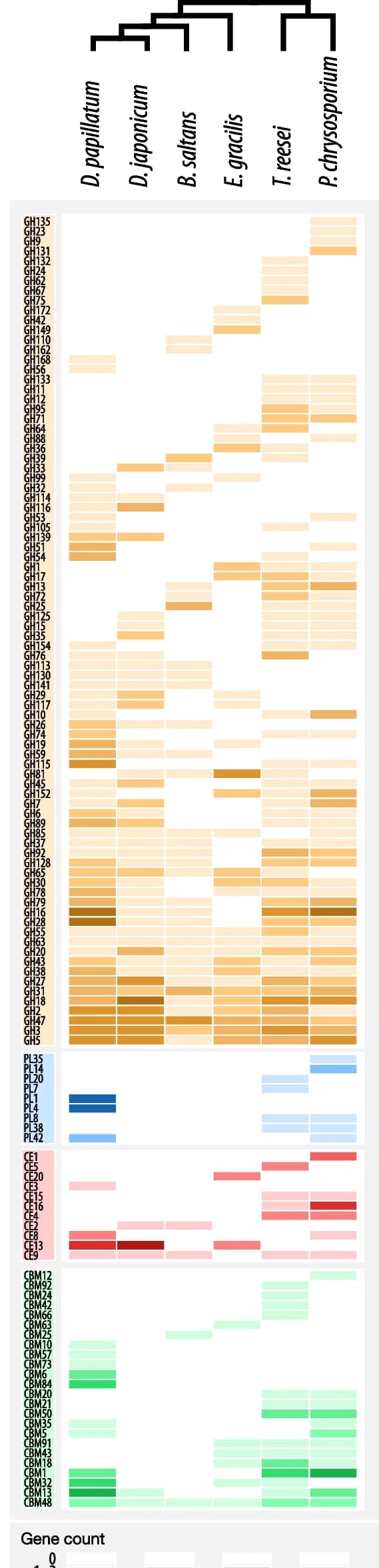 Open access visualization of Heatmap, Clustered, CAZyme Families, Glycoside Hydrolase, Polysaccharide Lyase