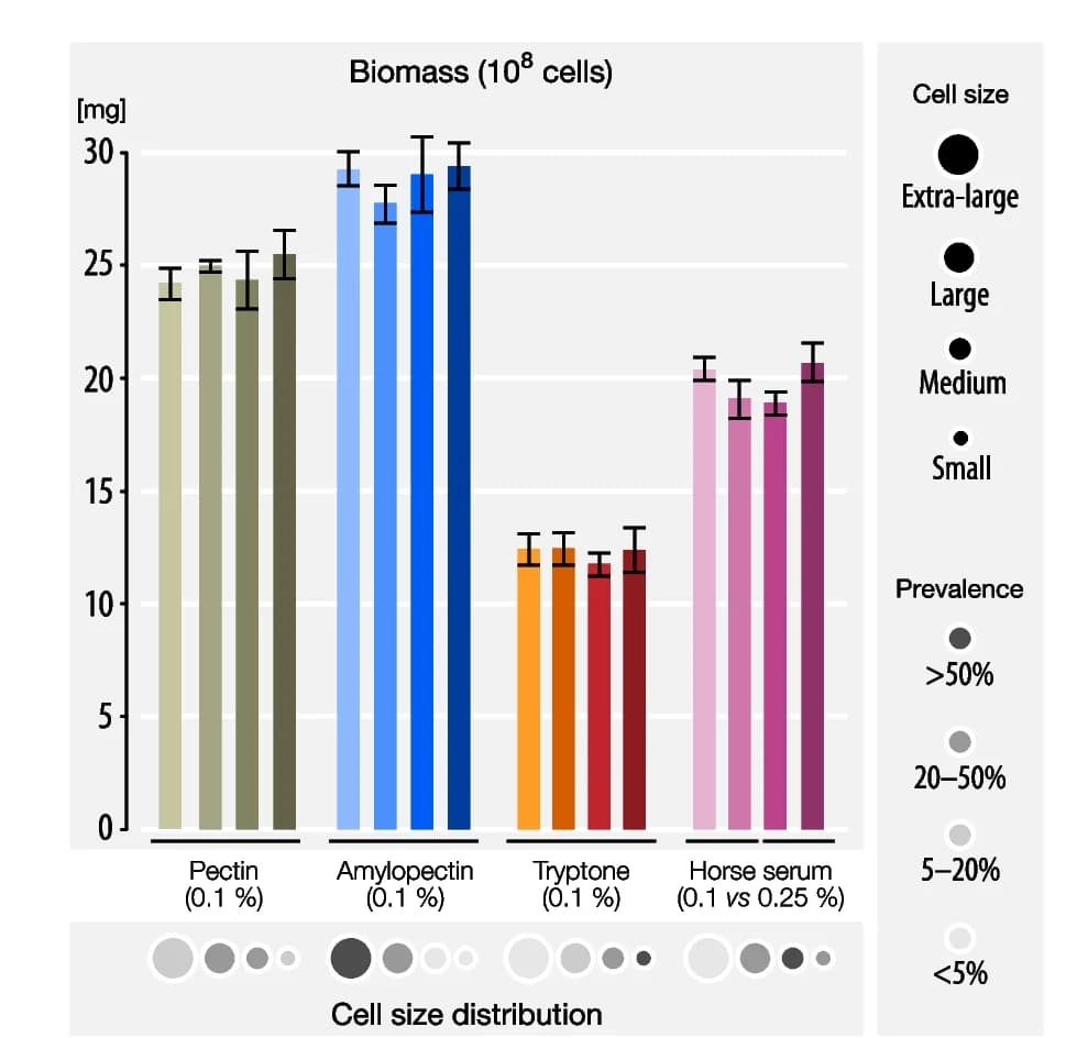 Open access visualization of Bar Plot, Error Bars, Biomass, Cell Size, Cell Counts