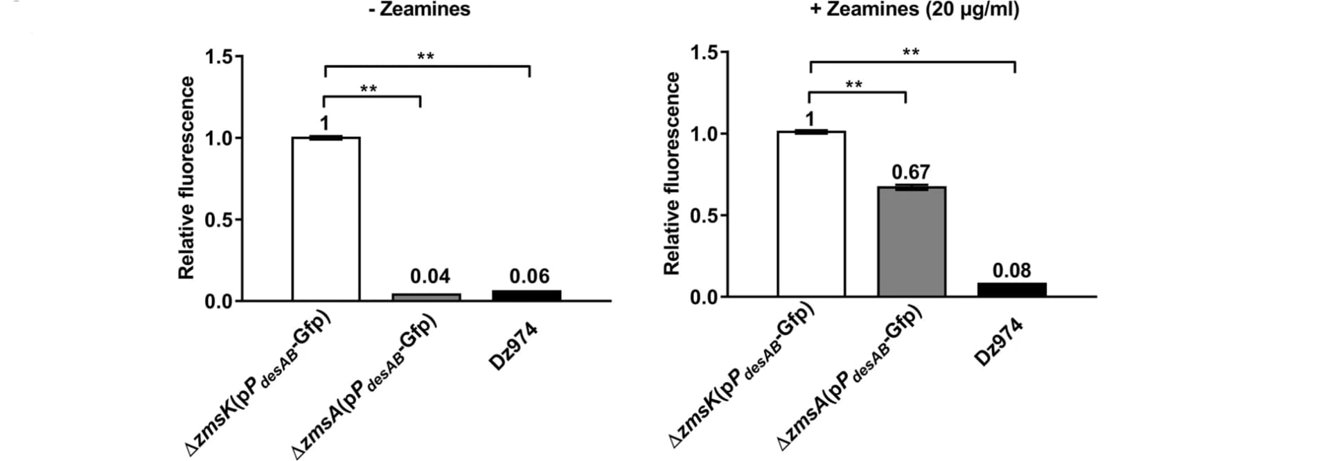 Open access visualization of Bar Plot, Error Bars, Fluorescence, Bacterial Strains, Zeamines
