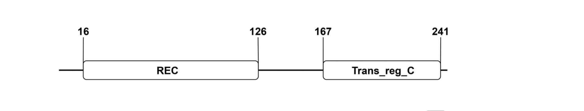 Open access visualization of Workflow, Illustration, Domain Structure, Amino Acid, Peptide Sequence
