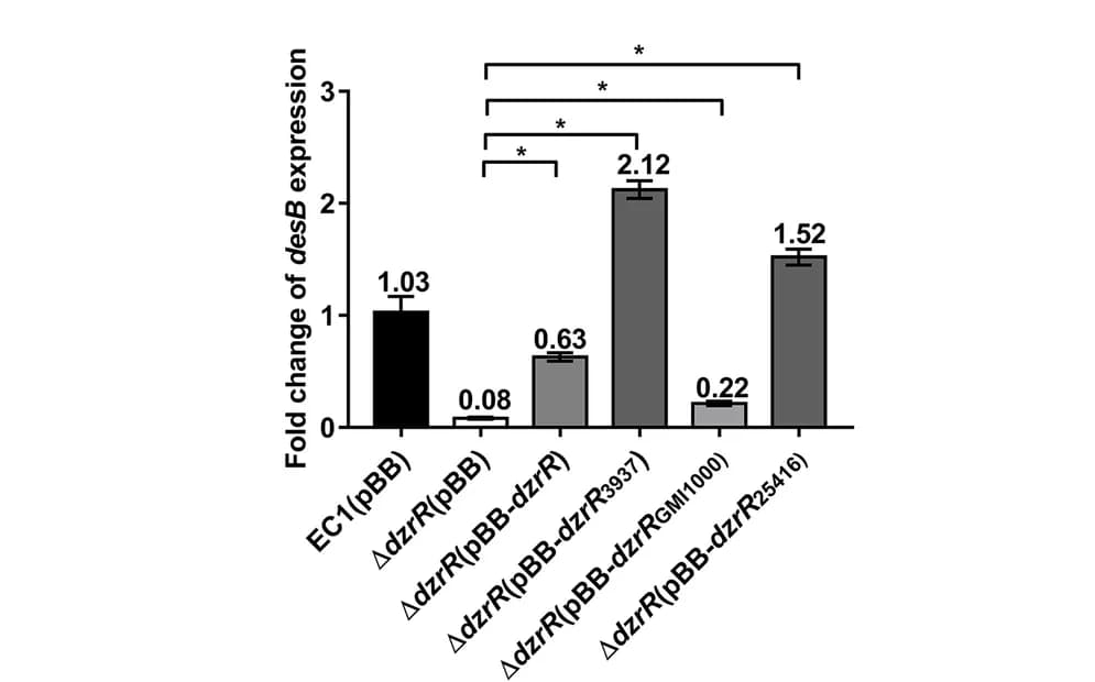 Open access visualization of Bar Plot, Error Bars, Transcript Level, DesB, RT-qPCR