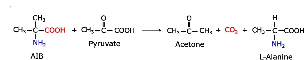 Open access visualization of Chemical Structure, Decarboxylation, Dialkylglycine Decarboxylase, Enzyme Mechanism
