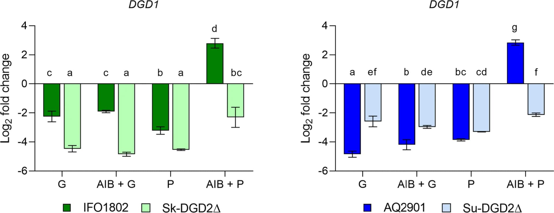 Open access visualization of Bar Plot, Error Bars, Clustered, DGD1, IFO1802
