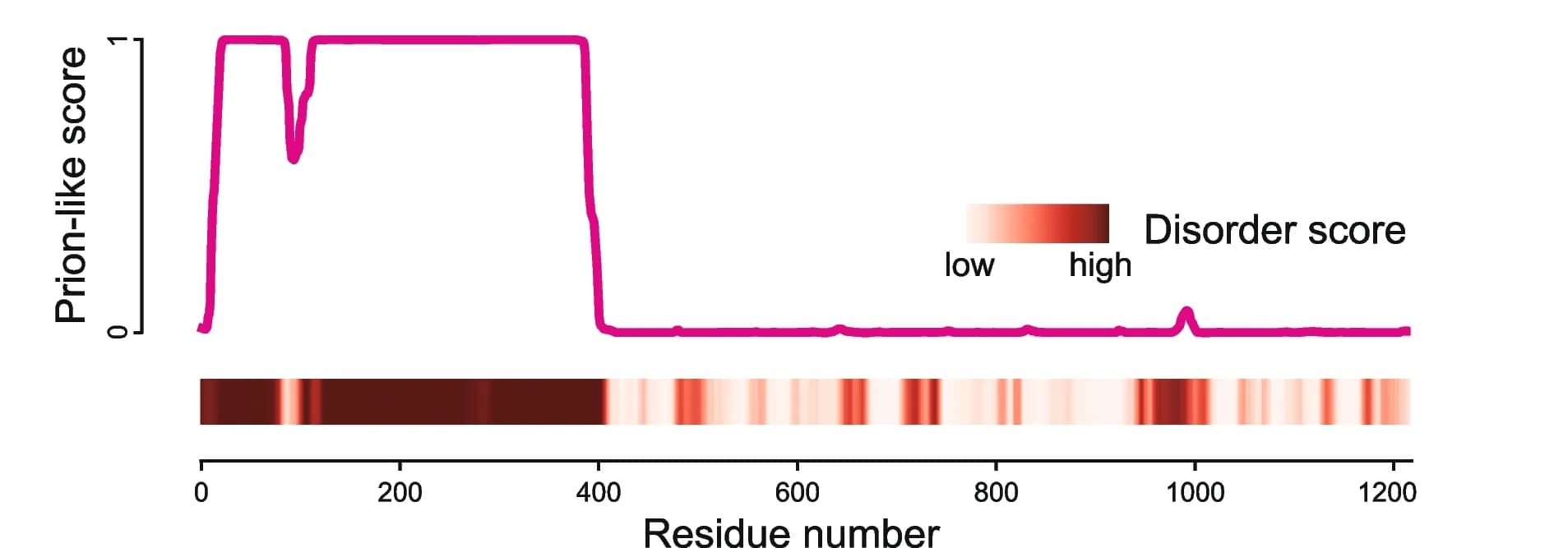 Open access visualization of Line Plot, Heatmap, Prion-like Probability, DmAgo2 Sequence, PLAAC