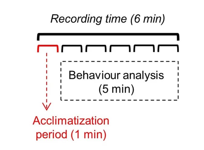 Open access visualization of Workflow, Flowchart, Illustration, Experimental Design, NTT