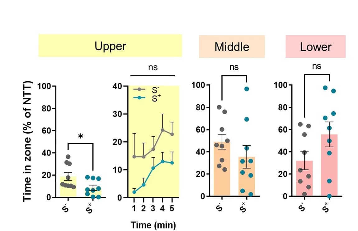 Open access visualization of Bar Plot, Scatter Plot, Line Plot, Error Bars, Time Spent