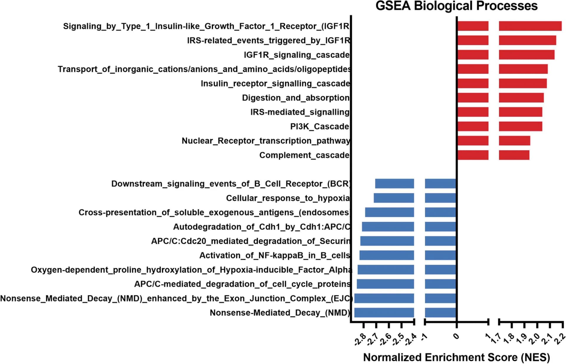 Open access visualization of Bar Plot, GSEA, Zebrafish, Testis, Enrichment Analysis