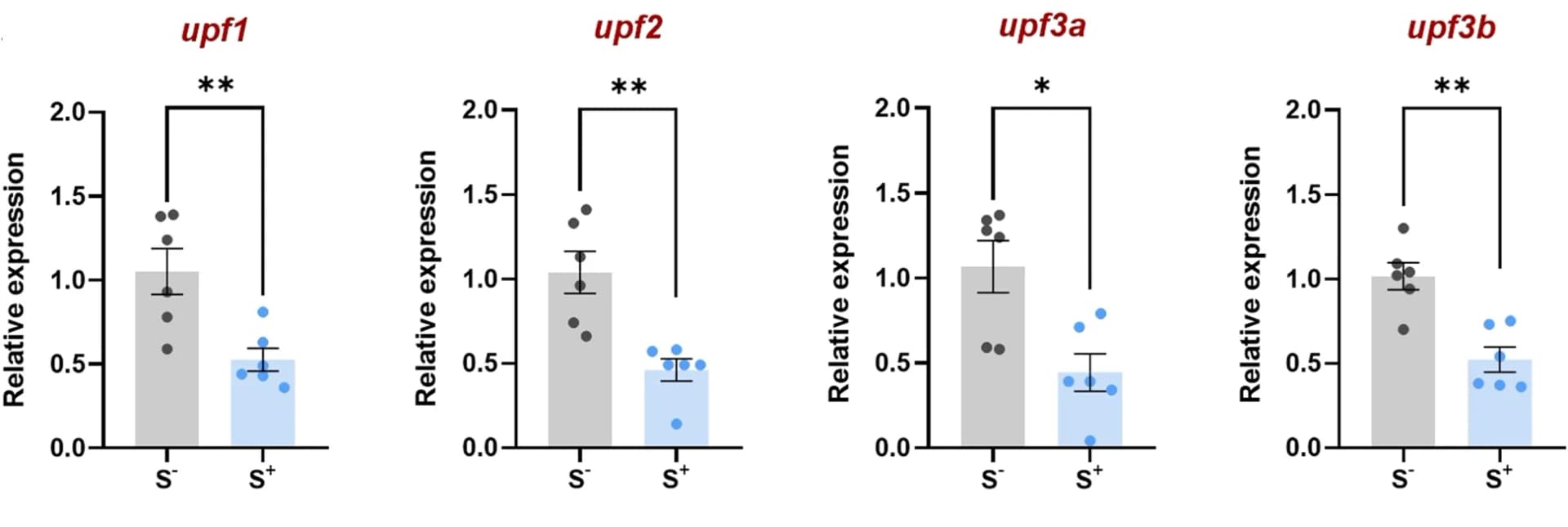 Open access visualization of Bar Plot, Error Bars, Scatter Plot, Gene Expression, Zebrafish Testes