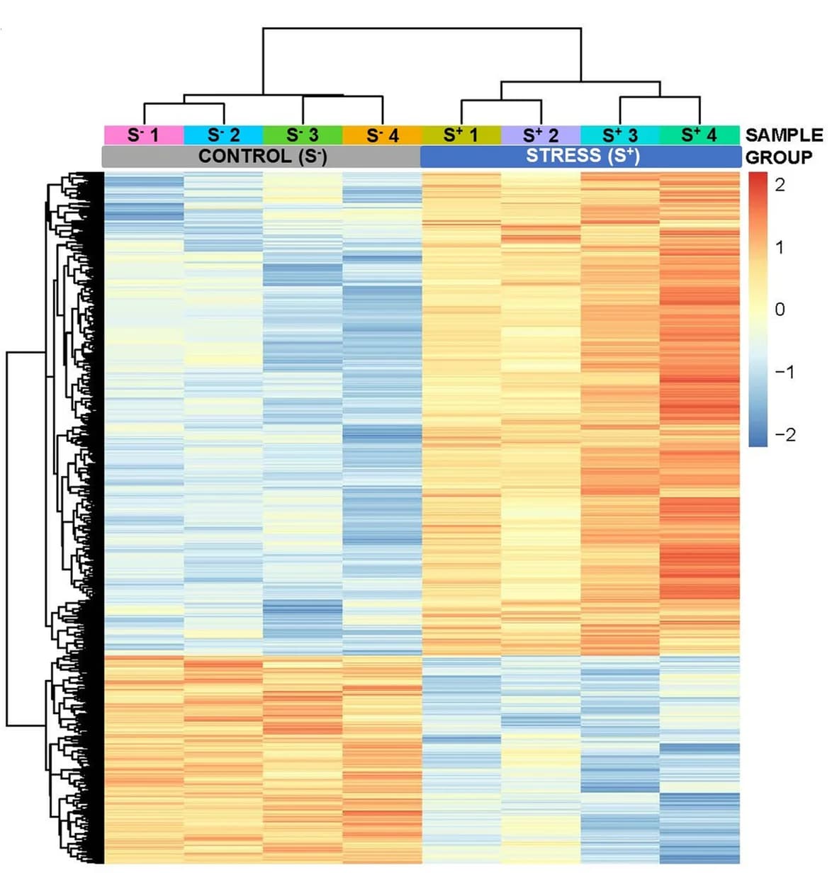 Open access visualization of Heatmap, Clustered, RNA-seq, Zebrafish Larvae, Differentially Expressed Genes