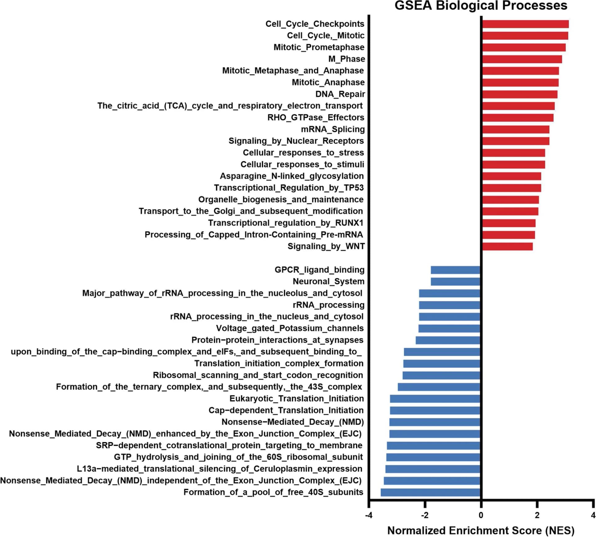 Open access visualization of Bar Plot, GSEA Enrichment Analysis, RNA-seq, Zebrafish, Biological Processes