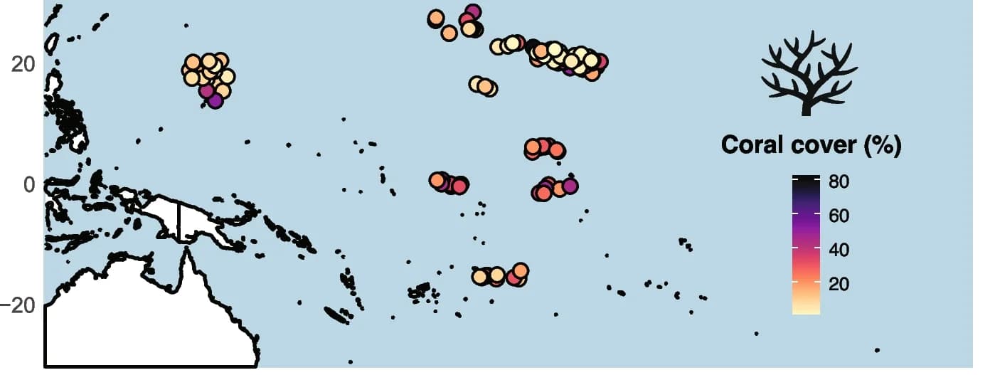 Open access visualization of Geo Map, Scatter Plot, Bubble Plot, Benthos, Scleractinian Corals