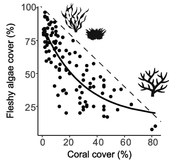 Open access visualization of Scatter Plot, Regression Plot, Benthos, Fleshy Algae, Turf Algae