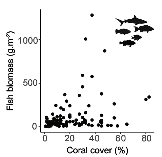 Open access visualization of Scatter Plot, Fish Biomass, Coral Cover