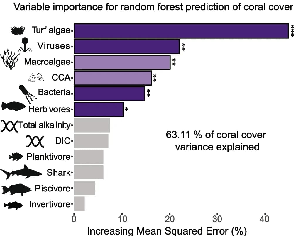 Open access visualization of Bar Plot, Random Forest, Variable Importance, Benthic Variables, Fish Variables
