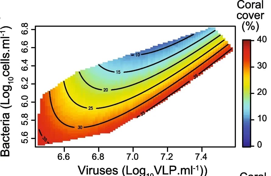 Open access visualization of Heatmap, Microbial Cell Abundance, Viral Abundance, Coral Cover