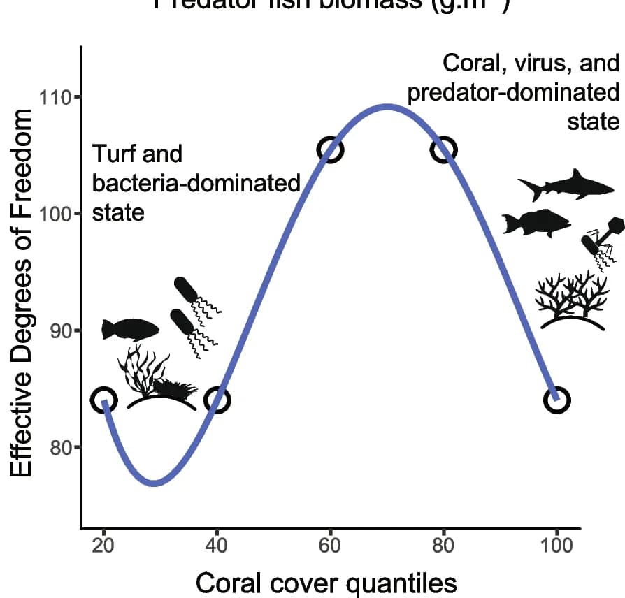 Open access visualization of Line Plot, Degrees of Freedom, Coral Cover, Cubic Smoothing Splines