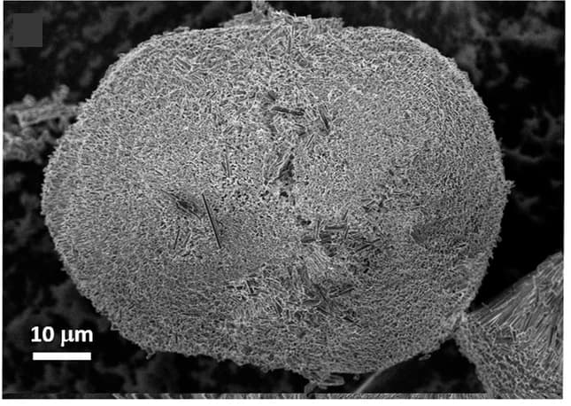 Open access visualization of Microscopy, SEM Micrographs, Crystalline Material, Bacterial Cultures, LB Medium
