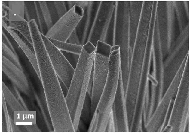 Open access visualization of Microscopy, SEM Micrographs, Crystalline Material, Bacterial Cultures, LB Medium