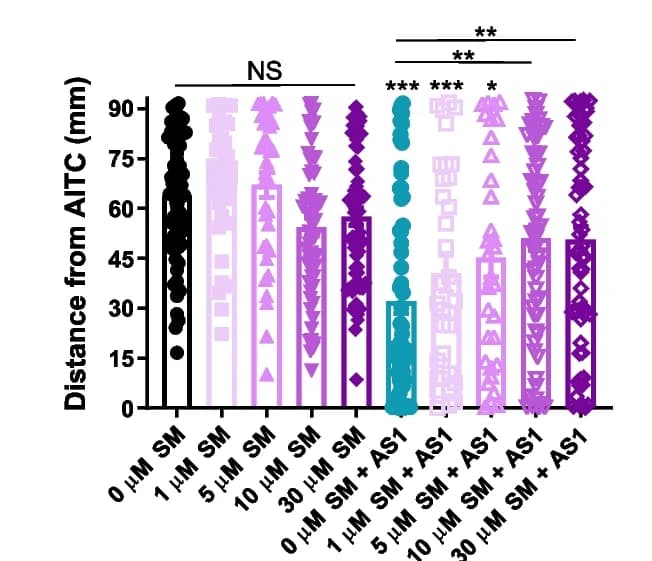 Open access visualization of Scatter Plot, Larva, AITC Stimulus, Distance