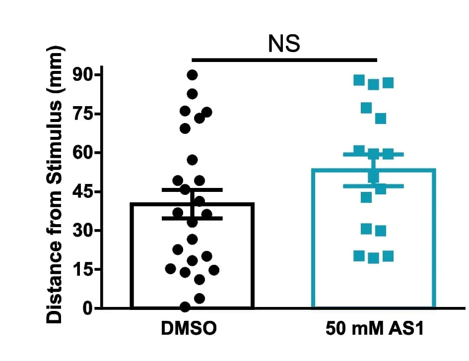 Open access visualization of Bar Plot, Scatter Plot, Error Bars, Larva, AITC Stimulus