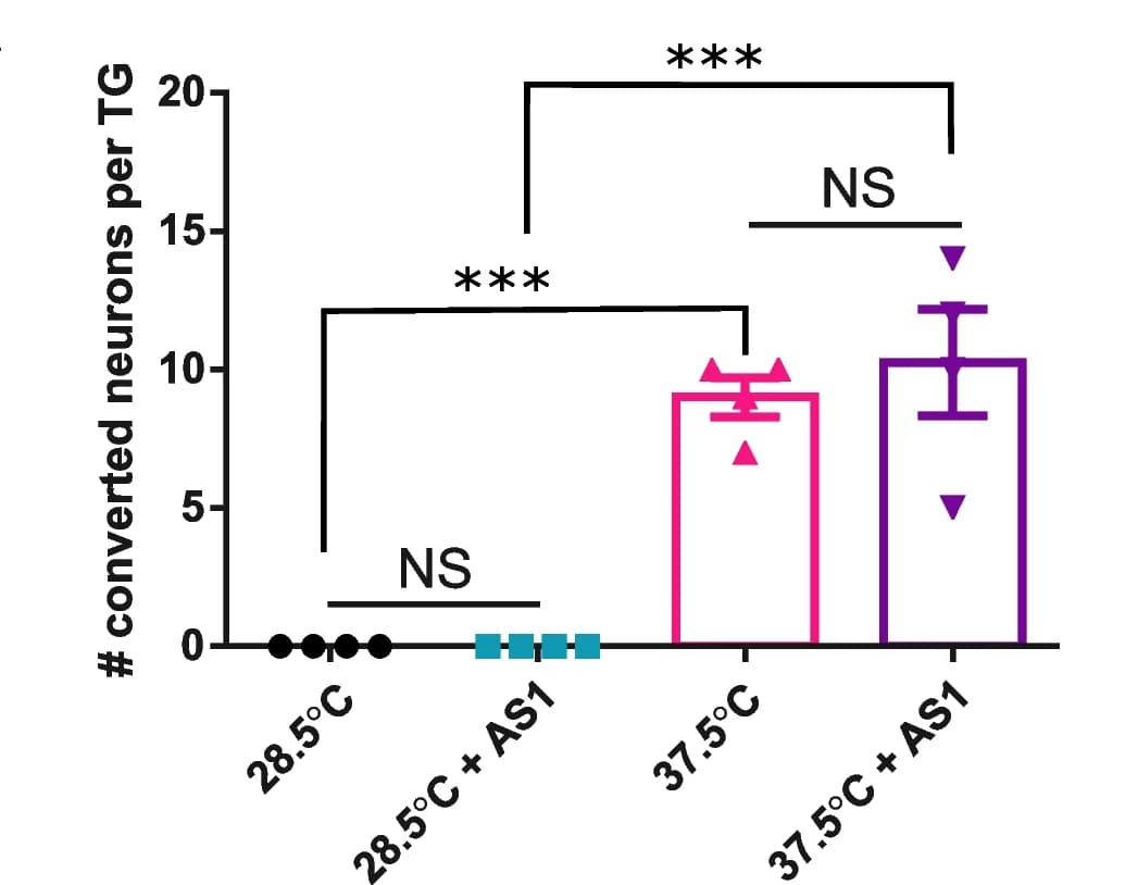 Open access visualization of Bar Plot, Error Bars, Photoconverted trigeminal neurons, Zebrafish, Temperature