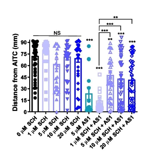 Open access visualization of Bar Plot, Error Bars, Scatter Plot, Larva, AITC stimulus