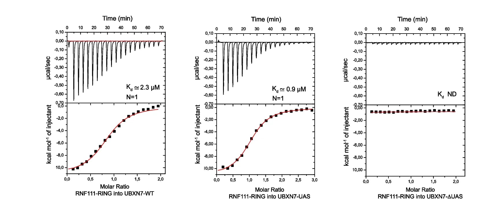 Open access visualization of Line Plot, Scatter Plot, RING Domain, RNF111, Binding Affinity