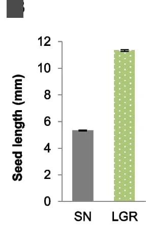 Open access visualization of Bar Plot, Error Bars, Seed Length