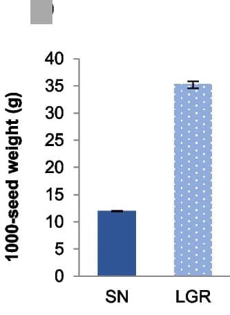 Open access visualization of Bar Plot, Error Bars, Seed Weight