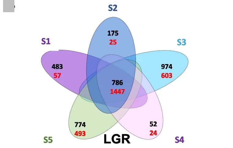 Open access visualization of Venn Diagram, Differentially Expressed Genes, Seed Development, Venn Diagrams, Gene Regulation