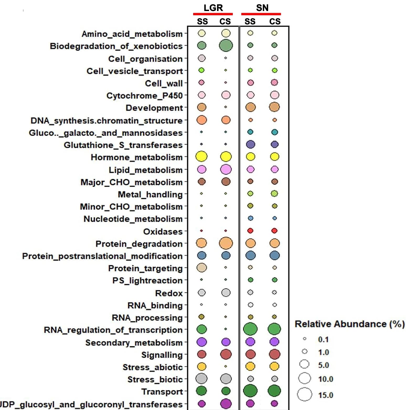 Open access visualization of Bubble Plot, Pathway Annotation, Differentially Expressed Genes, Gene Regulation, Seed Development