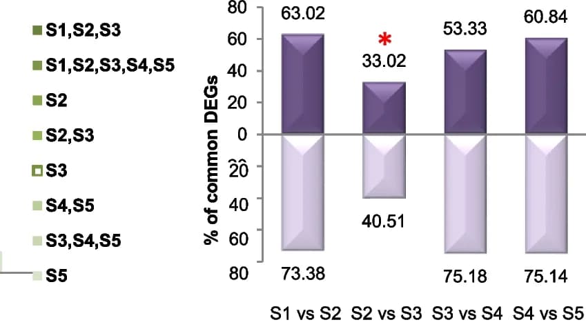 Open access visualization of Bar Plot, Percent Similarity, DEGs, Consecutive Stages, LGR