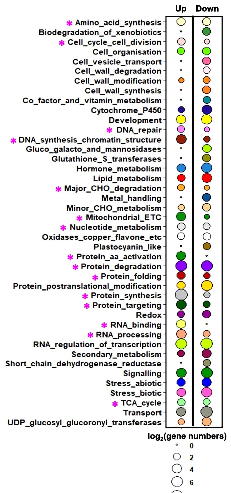 Open access visualization of Bubble Plot, Pathway Analysis, DEGs, LGR S3, Cell Cycle