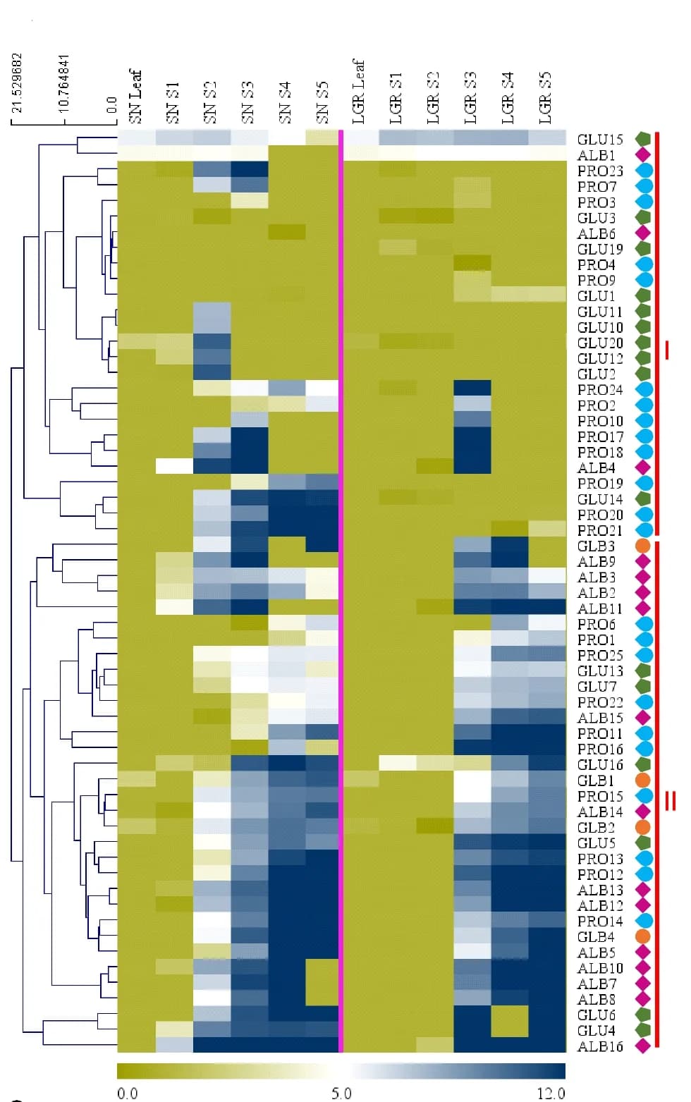 Open access visualization of Heatmap, Clustered, Heat Map, FPKM, Rice