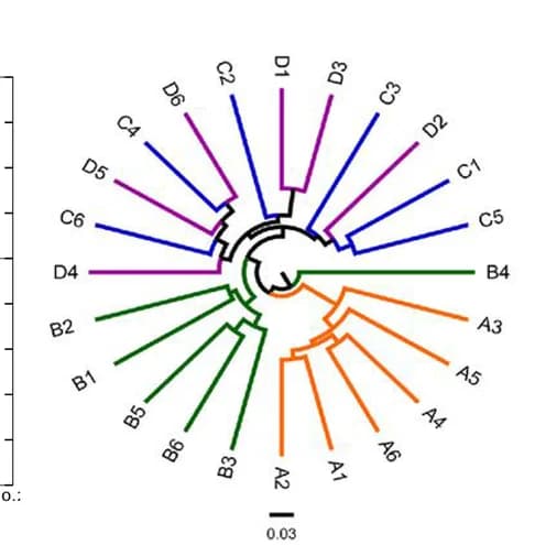 Open access visualization of Network, Pathway, Hierarchical clustering, BrayCurtis similarity, Fecal microbial composition