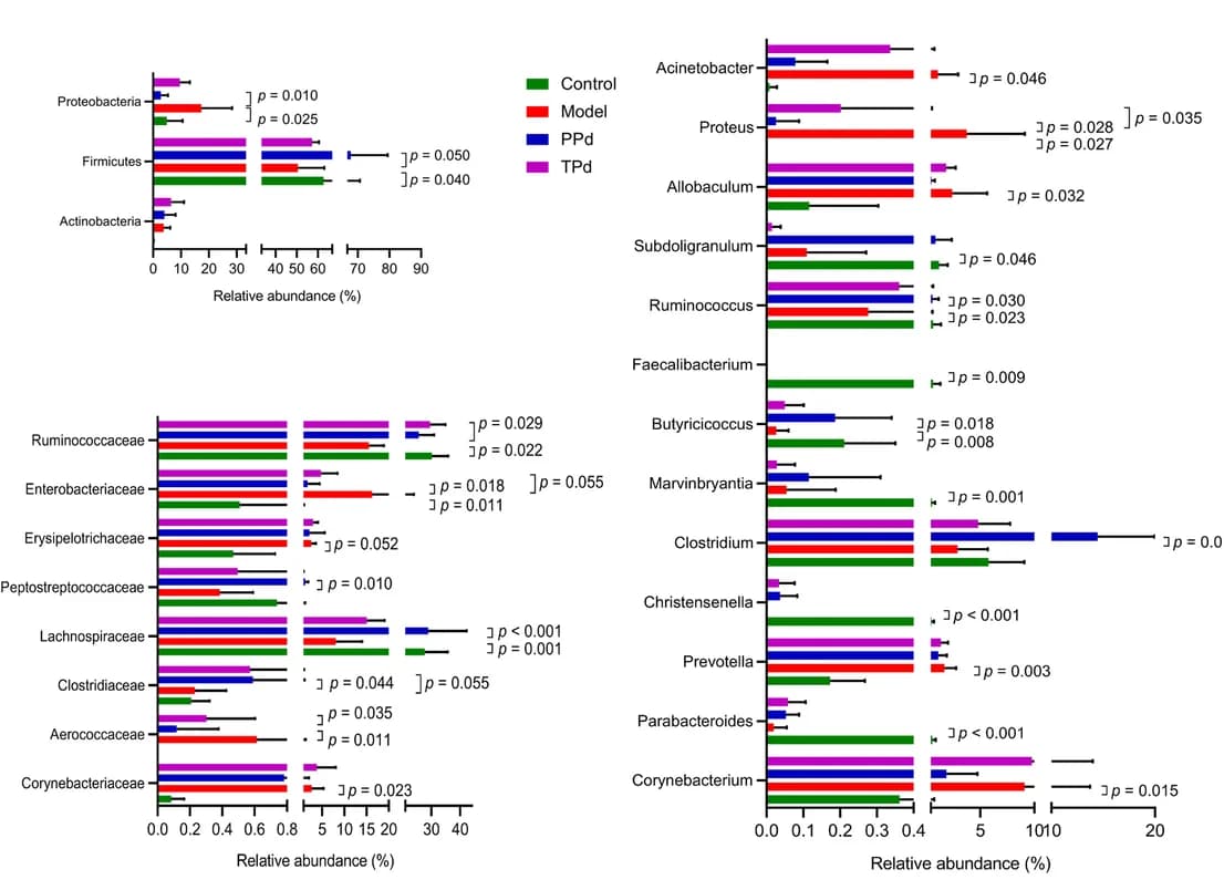 Open access visualization of Bar Plot, Error Bars, Relative abundance, Phylum level, Family level