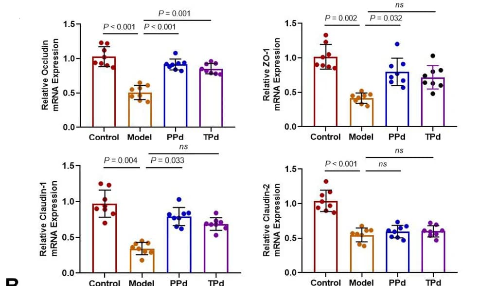 Open access visualization of Bar Plot, Error Bars, Scatter Plot, mRNA expression, Occludin