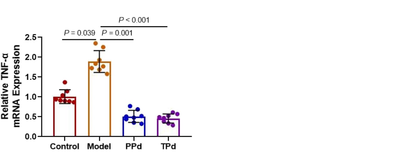 Open access visualization of Bar Plot, Error Bars, Scatter Plot, mRNA, TNF-alpha