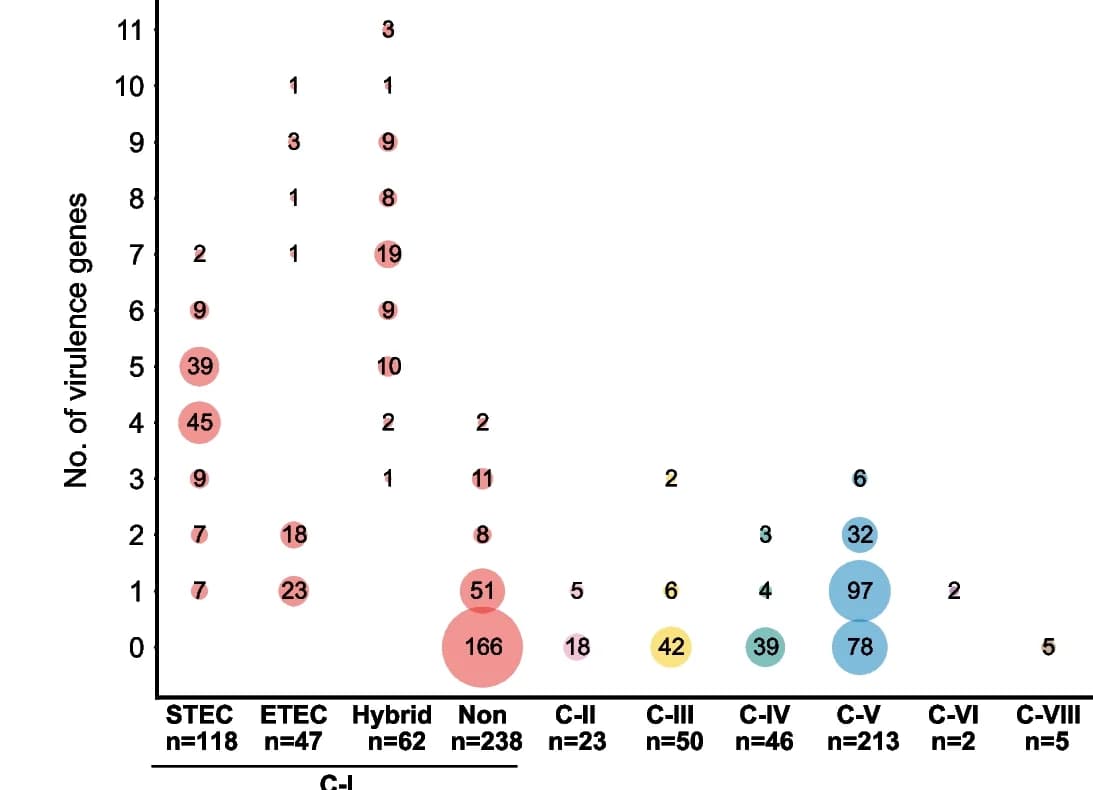 Open access visualization of Bubble Plot, Virulence Genes, C-I strains, Cryptic Clades, Escherichia Species