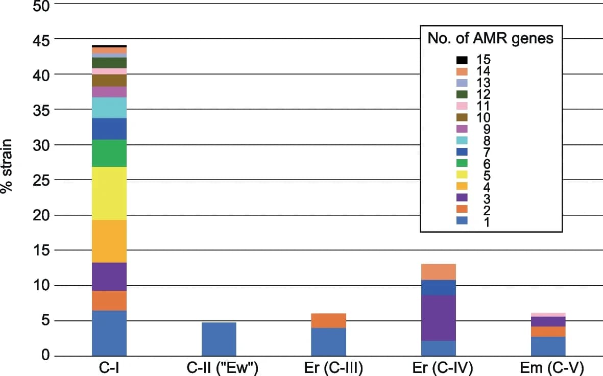 Open access visualization of Stacked Bar Plot, AMR Genes, Escherichia Species, Strains