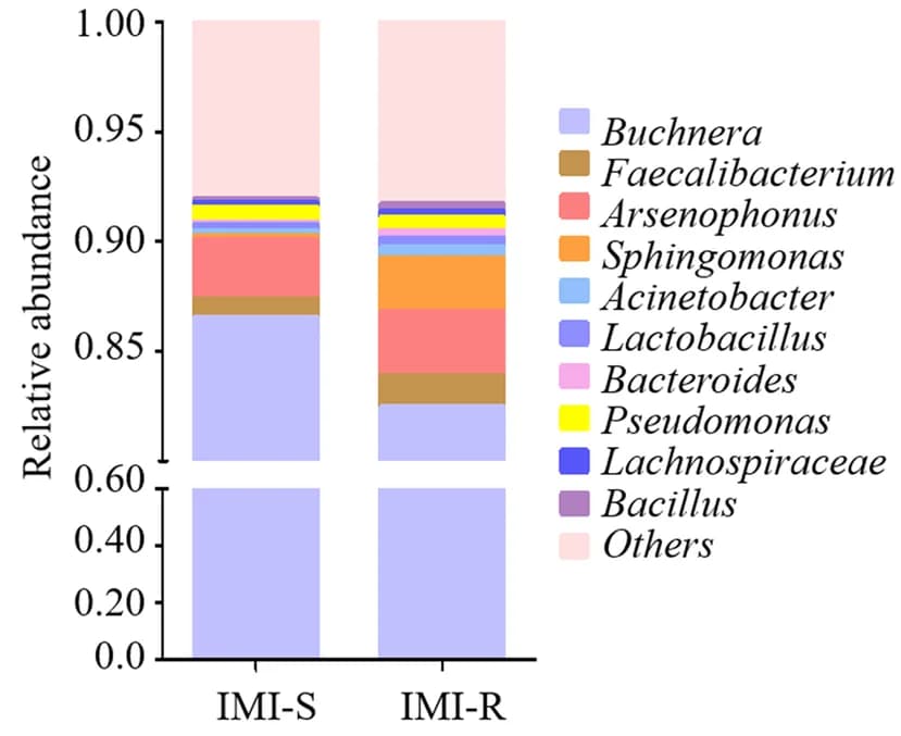 Open access visualization of Stacked Bar Plot, Relative Abundance, Genera, Gut, IMI-S Strain