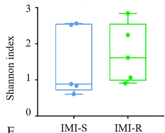Open access visualization of Box Plot, Alpha Diversity, Shannon Index, Gut Symbiont, IMI-S Strain