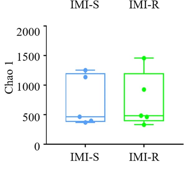 Open access visualization of Box Plot, Scatter Plot, Alpha Diversity, Chao 1 Index, Gut Symbiont